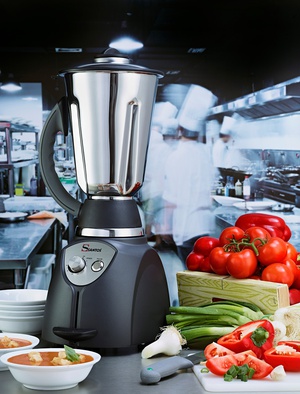 Blender de cuisine "Santosafe" - bol 4l inox n°37-4I